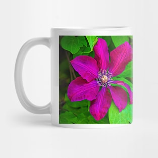 Brilliant Clematis Mug